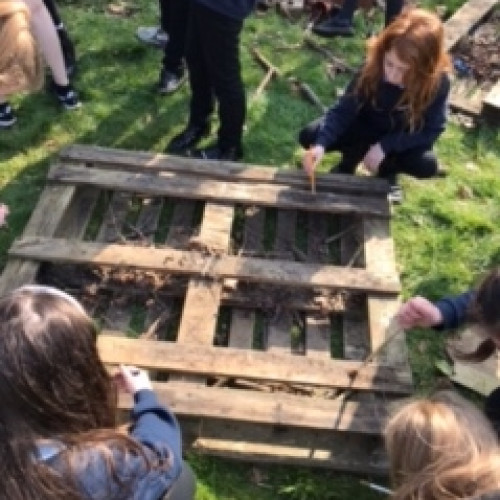 Eco Club 4