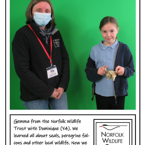 Norfolk Wildlife Trust