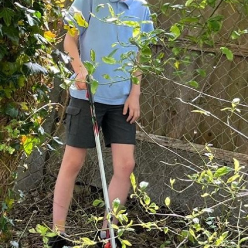 RSPCA 3